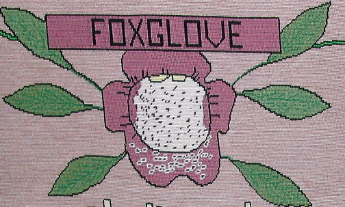 tapestry photo 1584 Foxglove flower