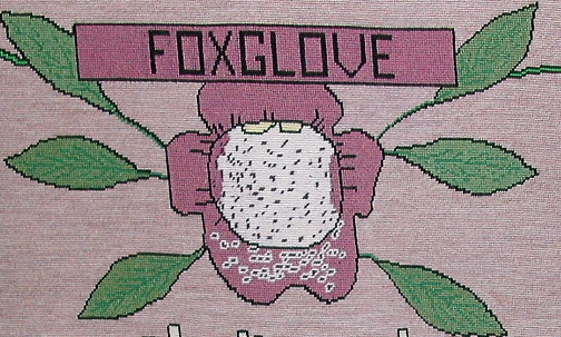 tapestry photo 1584 Foxglove flower