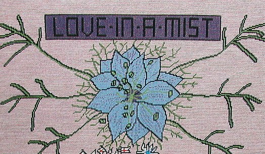 1613-14landingLove-in-the-mistsmaller.jpg