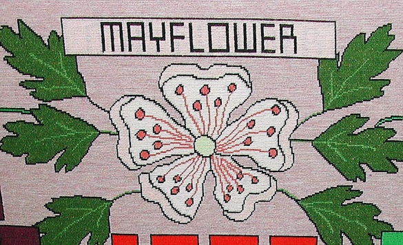 1620mayflowersmaller.jpg